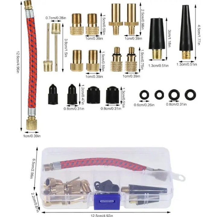 Set adaptoare valva/ventil, compatibile DV/AV/SV, pentru pompe de aer si compresoare, include furtun flexibil si ace pentru mingi, adaptoare conice si cutie de organizare, Multicolor, 21 piese