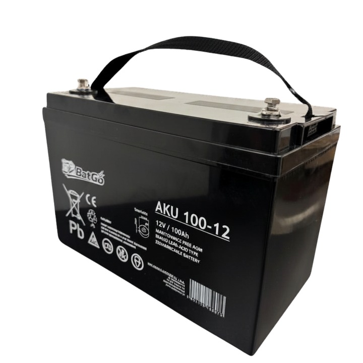 Acumulator AGM WAKS 12V 100Ah fara intretinere, 330x220x171mm