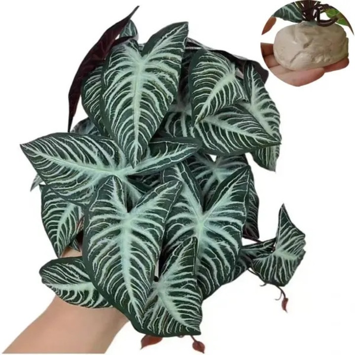 Plante artificiale acvariu, 25 cm, verde, plastic