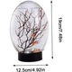 Mini zárt akváriumi ökoszisztéma LED-del, átlátszó, 360°