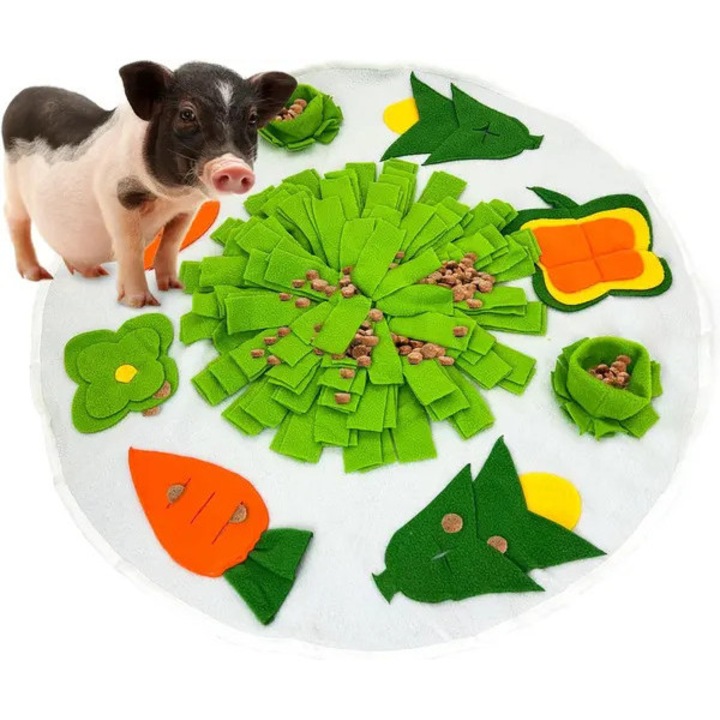 Covoras de joaca pentru mini porci, design ferma, multicolor, 40x40cm