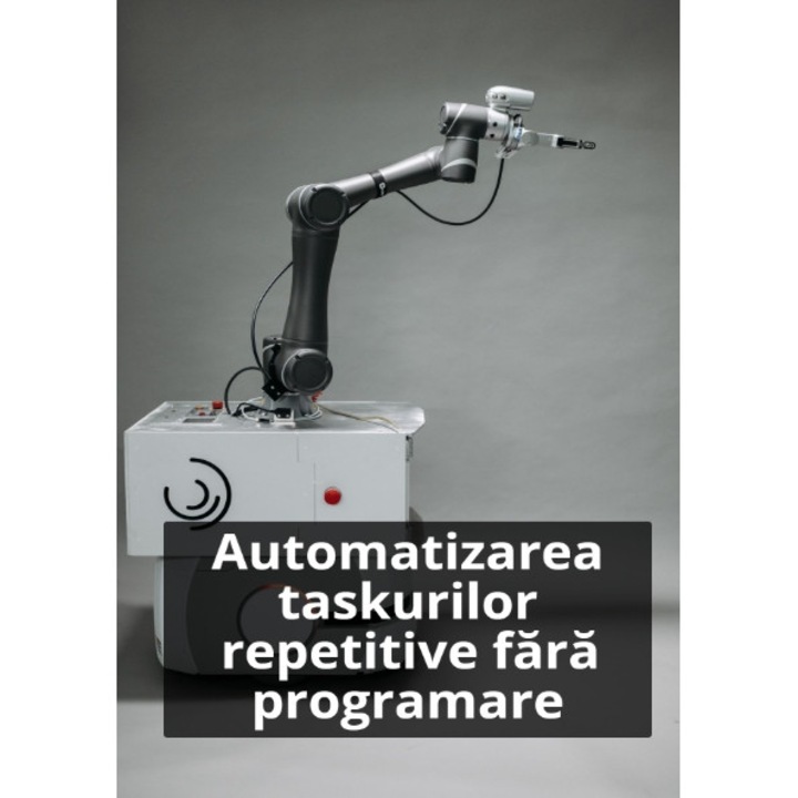 Ebook - Automatizarea taskurilor repetitive fara programare, limba romana