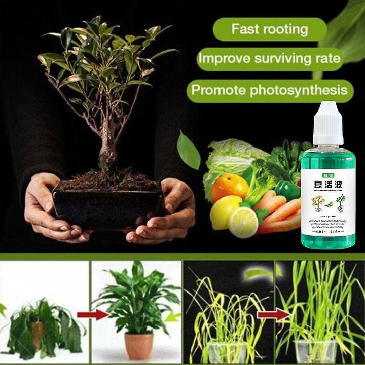 Stimulant radacini plante 50ml verde