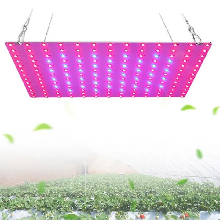 LED lámpa növényekhez 25W, növekedéshez és virágzáshoz, kék és piros, 25x15x10cm