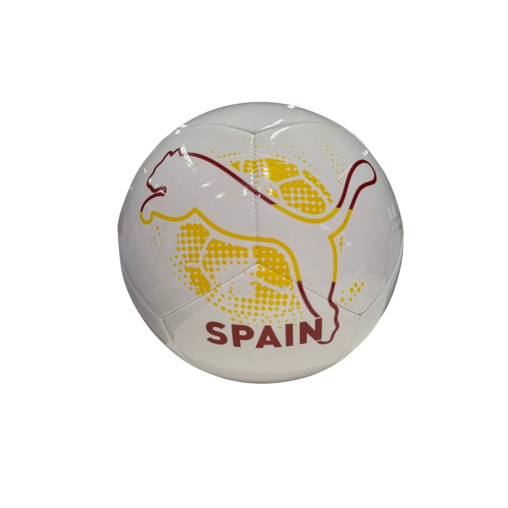 Minge fotbal Puma EURO NON-LICENSED multicolor marimea 5