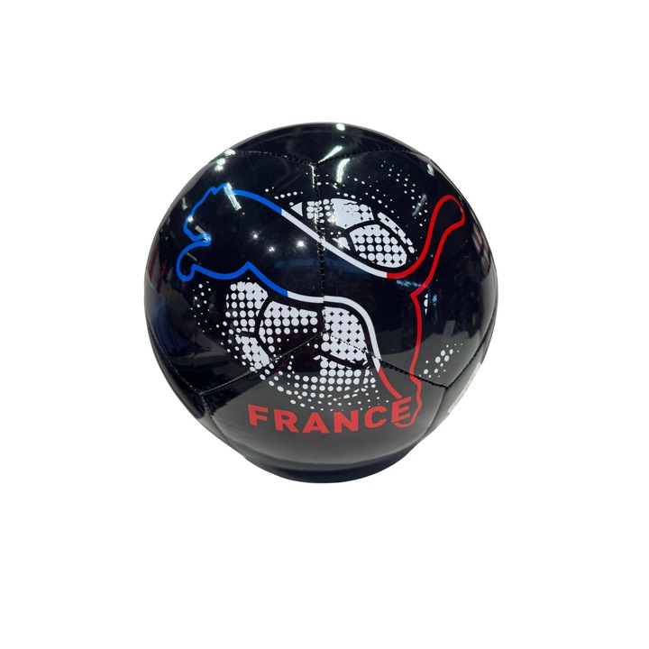 Minge fotbal Puma EURO NON-LICENSED multicolor marimea 5