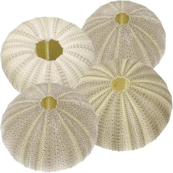 Set 4 scoici naturale mixte decor, multicolor, 10x10cm