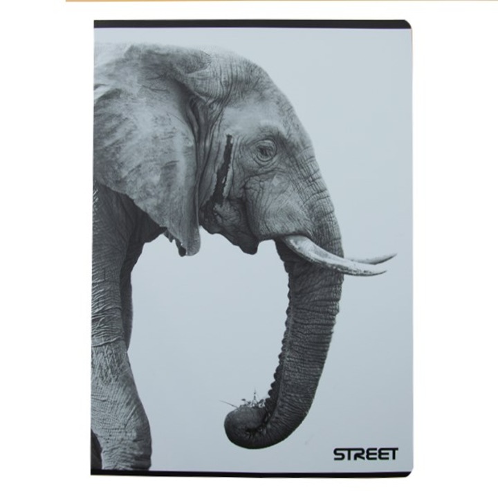Caiet STREET Safari A4 54 file dictando