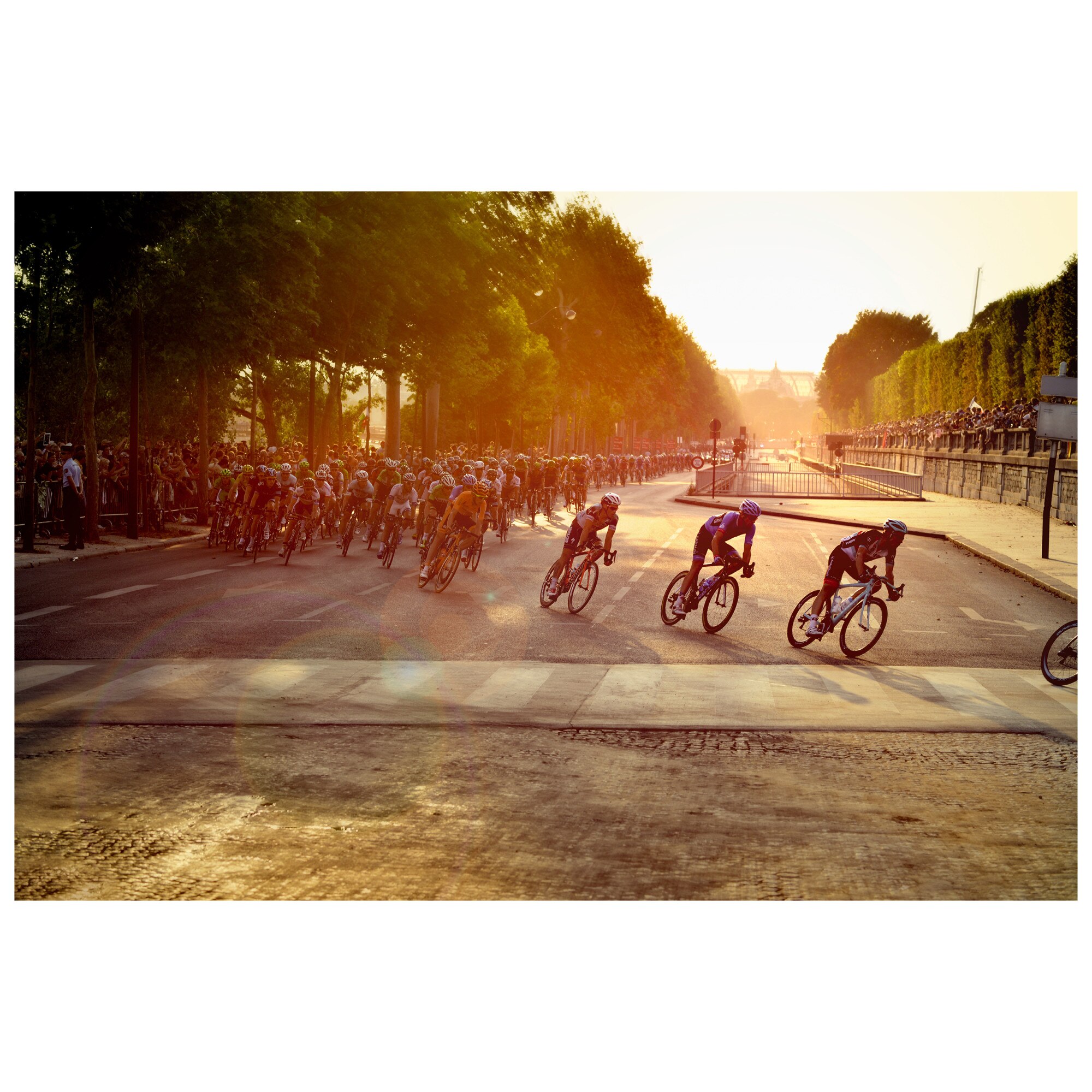 Tablou Canvas Artantida - Cycling - 60x40 cm