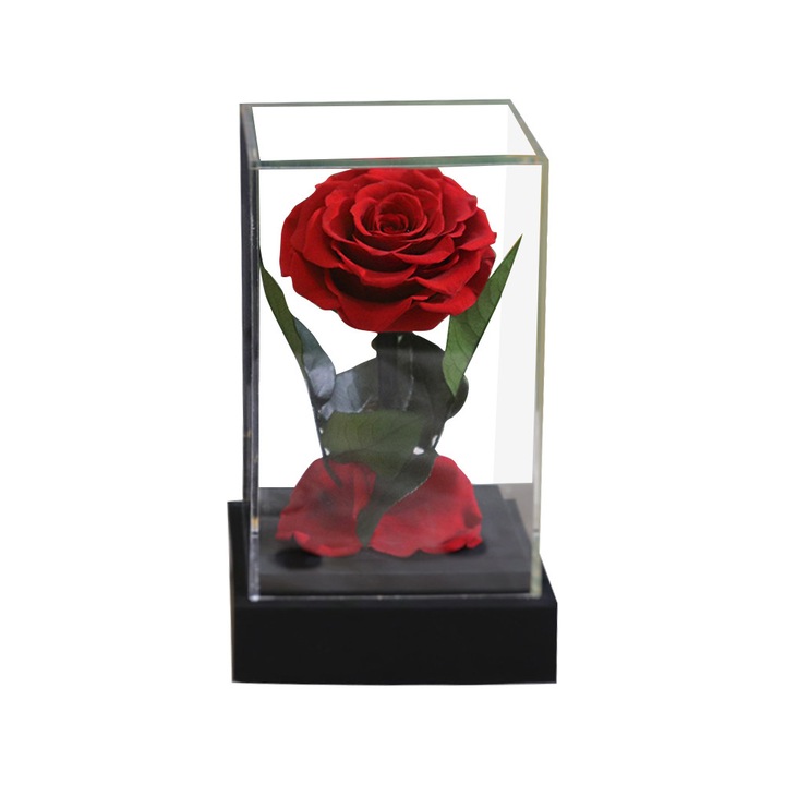 Trandafir etern conservat in acrilic transparent, cadou aniversar, rosu, 15x15x15cm