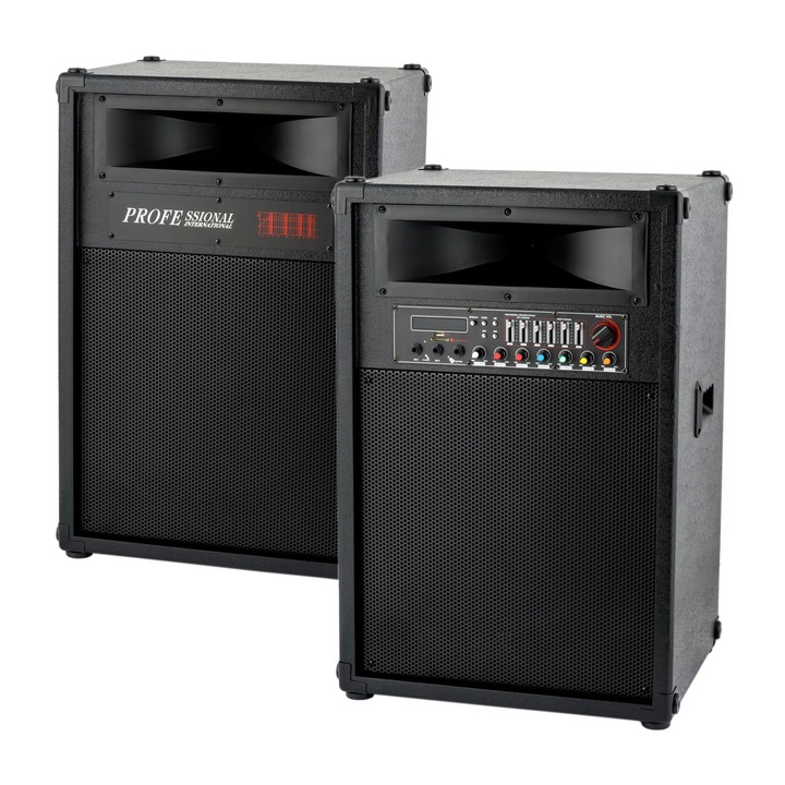 Set boxe 2035 profesional, 13 egalizator. microfon si telecomanda