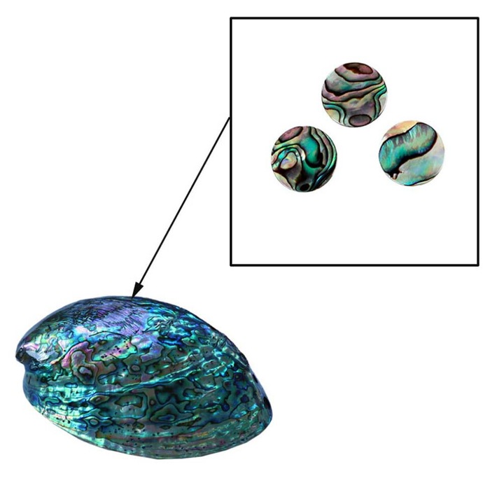 Set 3 butoane pentru trompeta, 1.3cm, multicolor