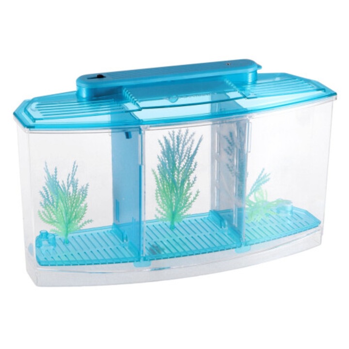 Acvariu mini plastic, design cu 3 compartimente, albastru