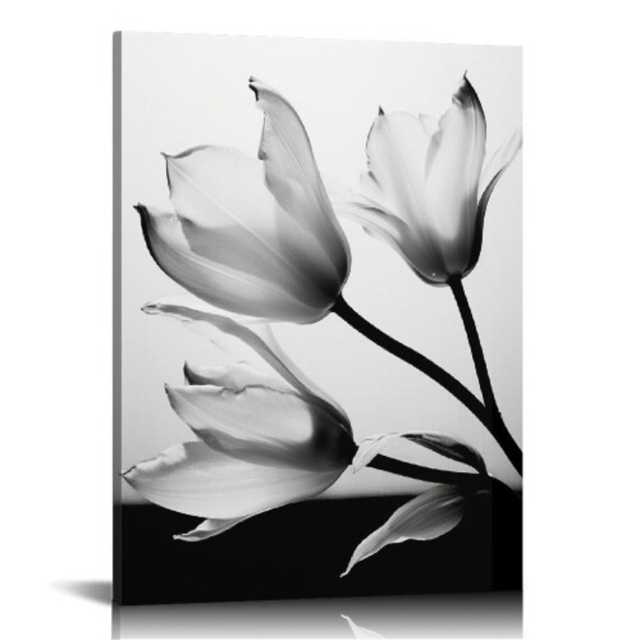 Tablou canvas OEM Translucent Tulips II multicolor 60x40cm