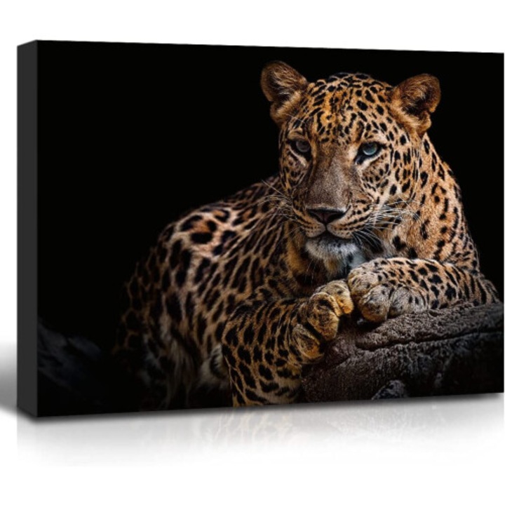 Tablou leopard, imprimare pe panza, fundal negru, 30x40cm