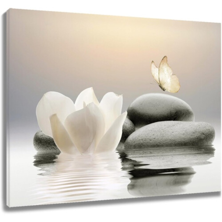 Tablou canvas Zen Stone fluture galben floare alba 30x40cm set cu cui