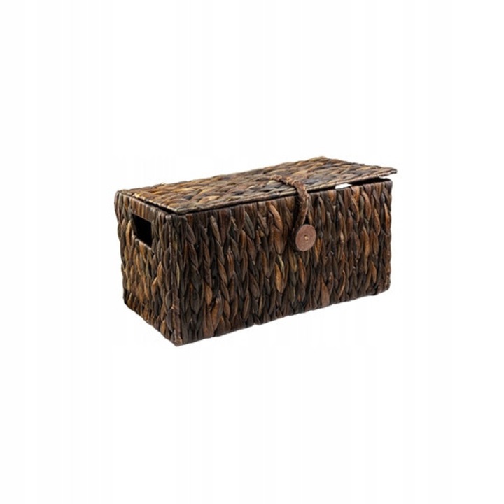 Cutie Depozitare Hiacynt Wodny NATARIA 418S, Maro 40x20x20cm
