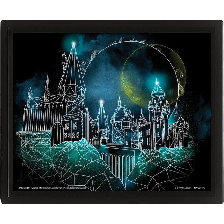 Harry Potter Roxfort 3D kép PYRAMID többszínű
