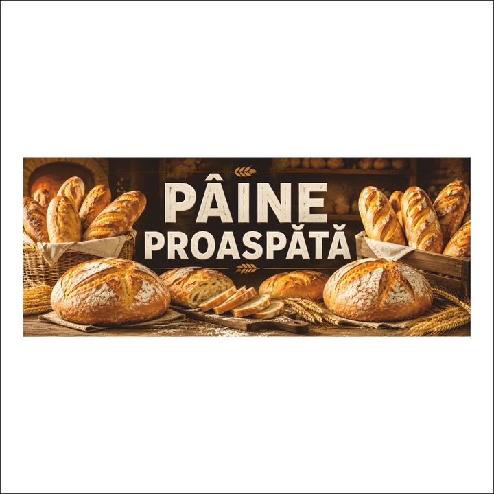 Banner MEDIA, "Paine" modell1, 200 x 80 cm, kültéri