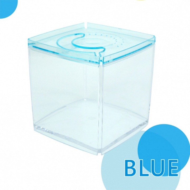 Acvariu ISTA Stylish Display Case Square Tank Albastru 2.3 l