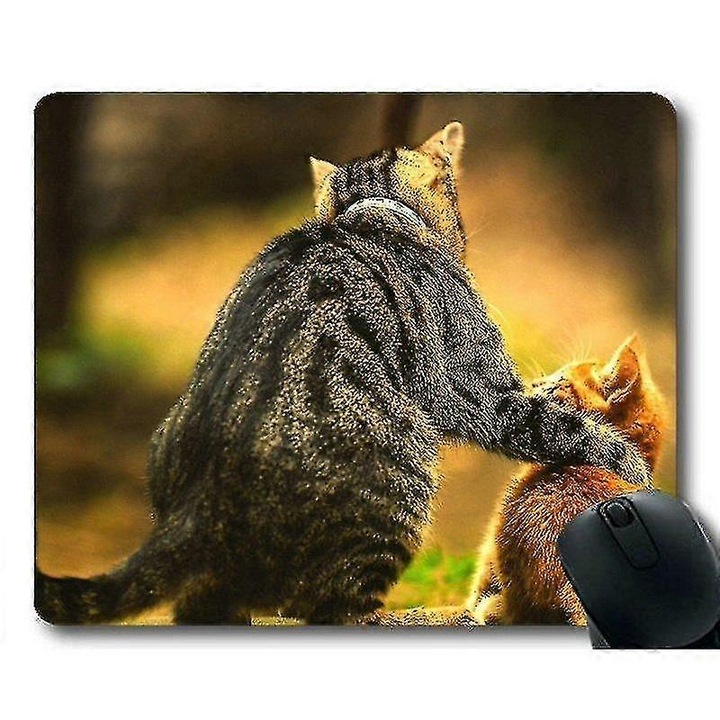 Aranyos macska egérpad 30x25x0.3cm többszínű