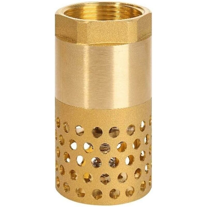Supapa de retinere pompa 1 inch, filtru, picior, DN25