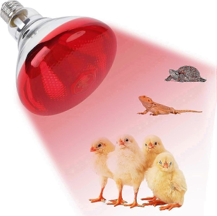 Infravörös izzó, 250W, kvarcüveg, piros, E27