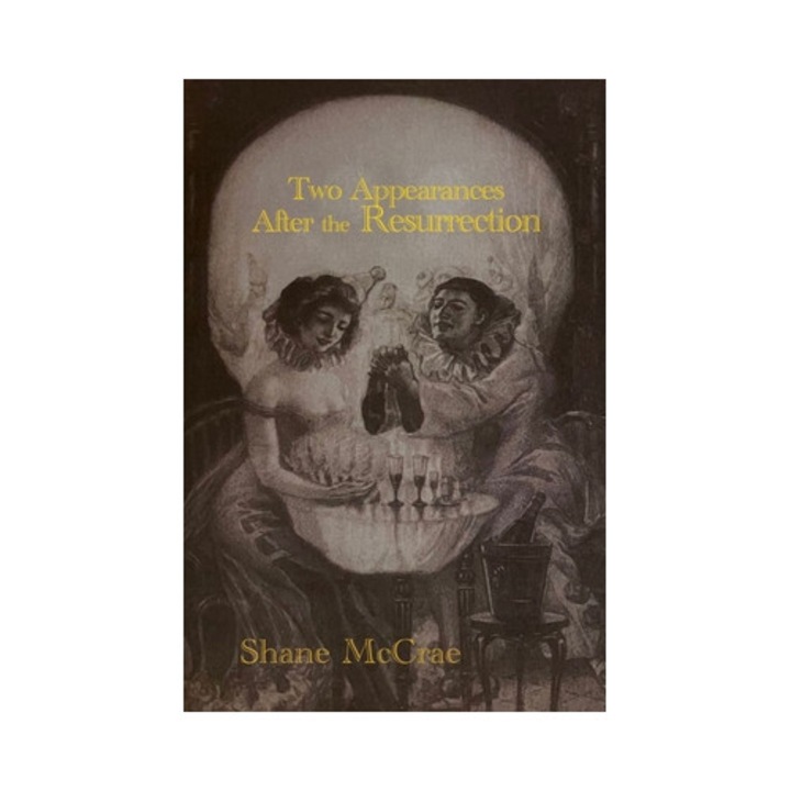 Two Appearances After The Resurrection - Shane Mccrae