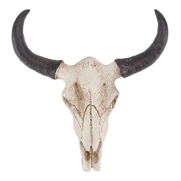 Sculptura craniu taur cu coarne, rasina, decor perete, 23x22x6cm