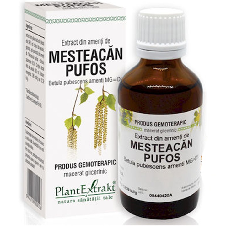Extract Din Amenti De Mesteacan Pufos, Plantextrakt, 50 ml
