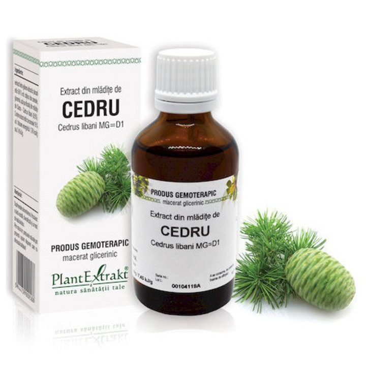 Extract Din Mladite De Cedru - Cedrus Libani, Plantextrakt, 50 ml