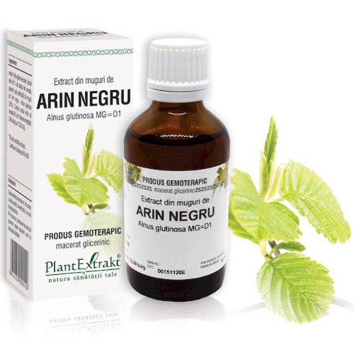 Extract din muguri de Arin negru 50 ml – Solutie 100% naturala cu extract din muguri de Arin negru, sustine circulatia cerebrala si circulatia arteriala periferica, 50 ml.