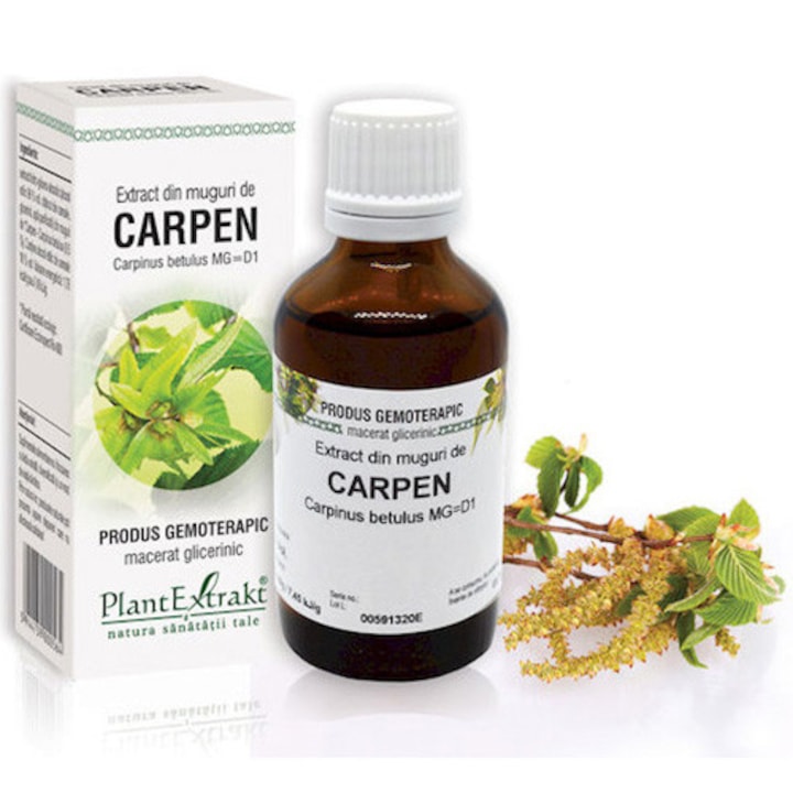Extract Din Muguri De Carpen - Carpinus Betulus Mg=D1, Plantextrakt, 50 ml