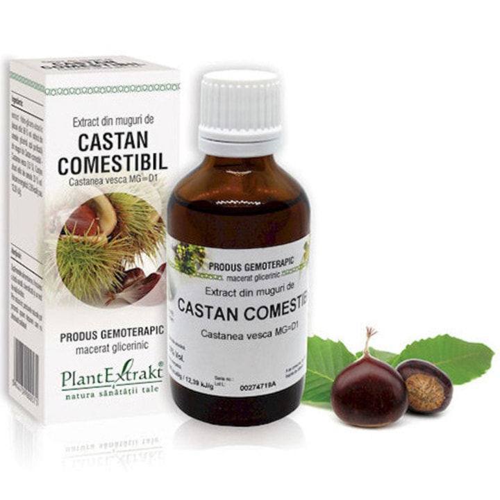 Extract Din Muguri De Castan-Comestibil - Castanea Vesca Mg=D1, Plantextrakt, 50 ml