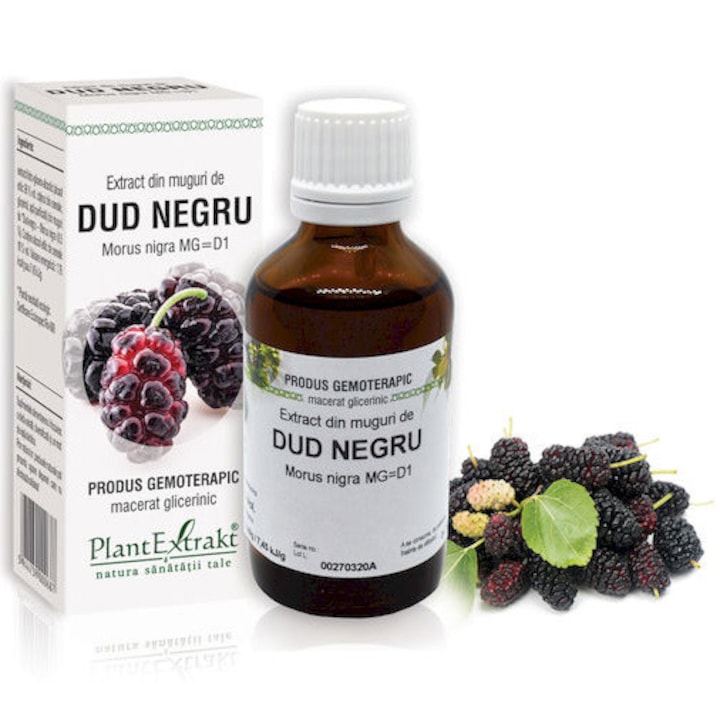 Extract Din Muguri De Dud-Negru - Morus Nigra Mg=D1, Plantextrakt, 50 ml