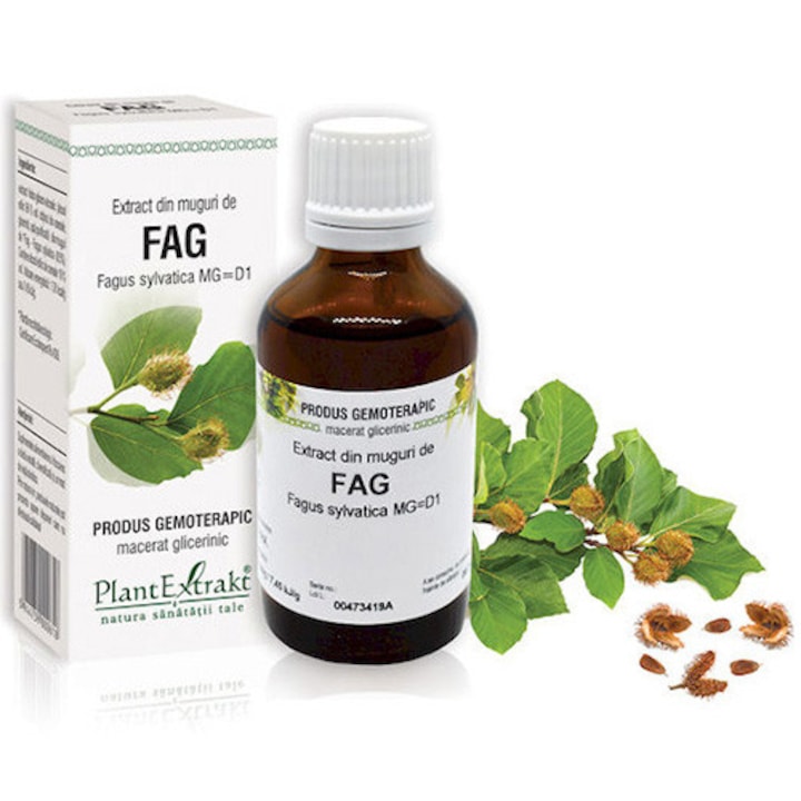 Extract Din Muguri De Fag, Plantextrakt, 50 ml