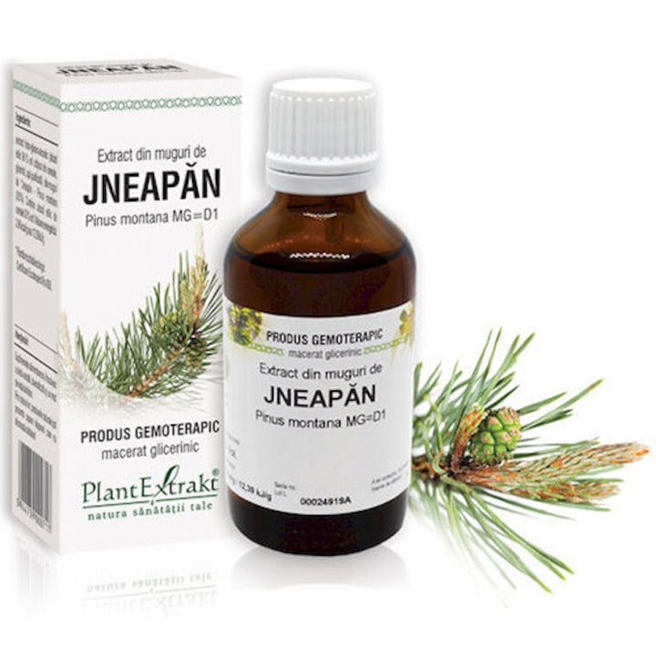 Extract Din Muguri De Jneapan, Plantextrakt, 50 ml
