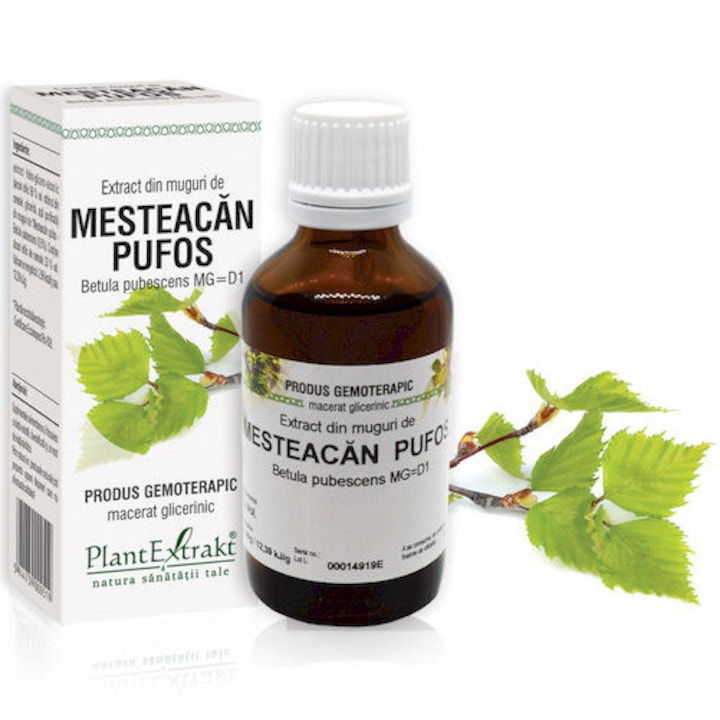 Extract Din Muguri De Mesteacan Pufos, Plantextrakt, 50 ml