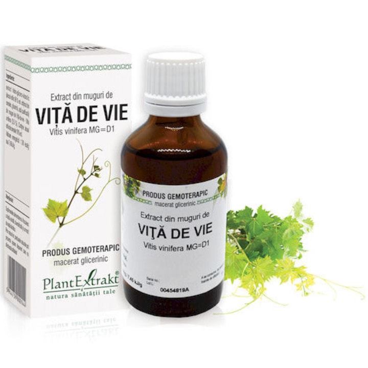 Extract Din Muguri De Vita-De-Vie - Vitis Vinifera Mg=D1, Plantextrakt, 50 ml