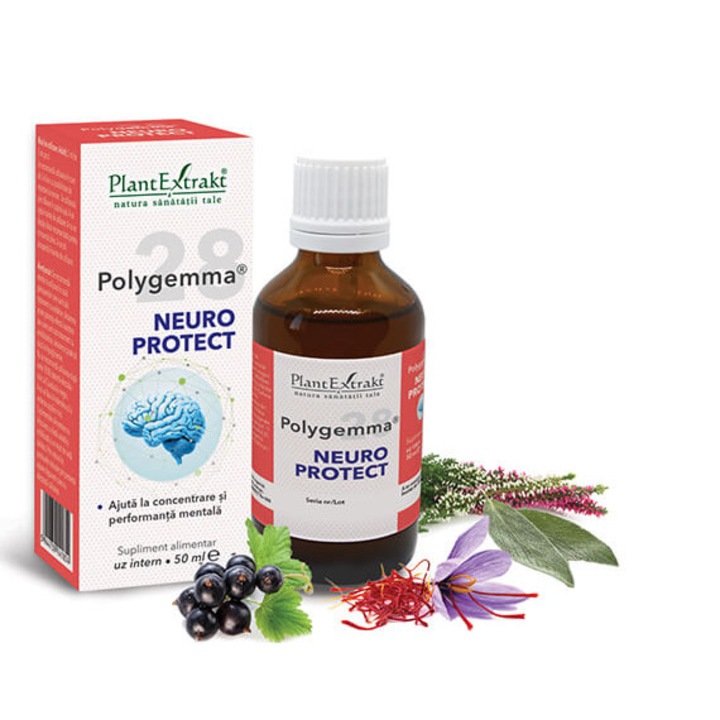 POLYGEMMA NR. 28 NEURO PROTECT 50 ml – Solutie 100% naturala cu extracte de Coacaz-negru, Iarba neagra, Salvie si Sofran, ajuta la concentrare, performanta mentala, relaxare si echilibru emotional, 50 ml