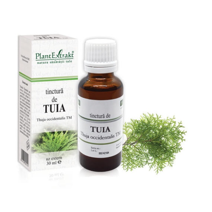 Tinctura De Tuia, Plantextrakt, 30 ml