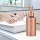 Dispenser sapun si lotiune inox 250ml, argintiu