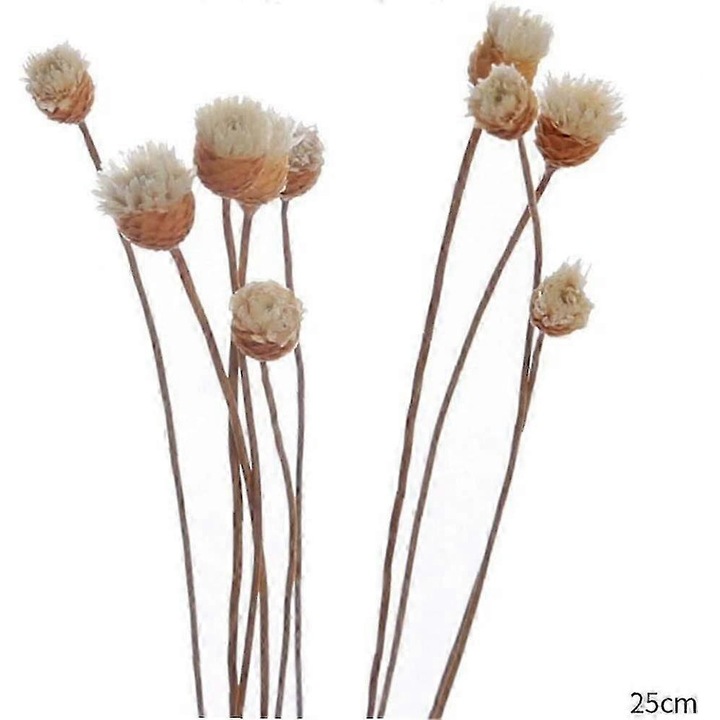 20 db-os szett szárított virágos rattan pálcával, rózsa illattal, 25cm, natúr