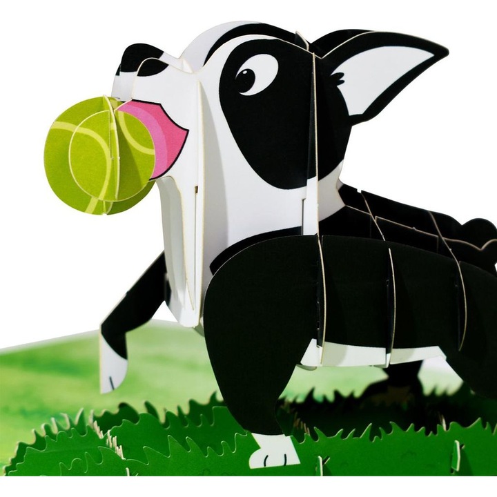 3D pop-up üdvözlőlap Boston Terrier többszínű 15x15cm