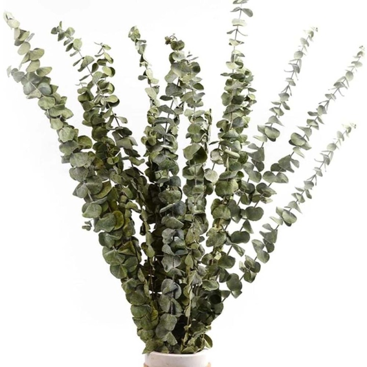 Szárított virágcsokor, természetes eukaliptusz, 12-14 db, 40-60 cm, belső dekoráció