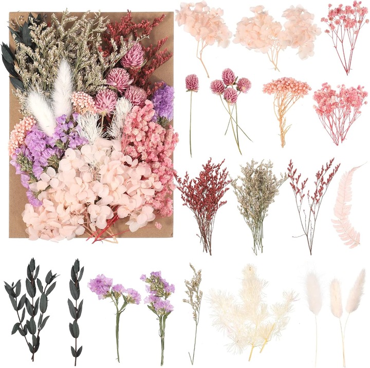 Flori uscate naturale mixte pentru artizanat multicolor