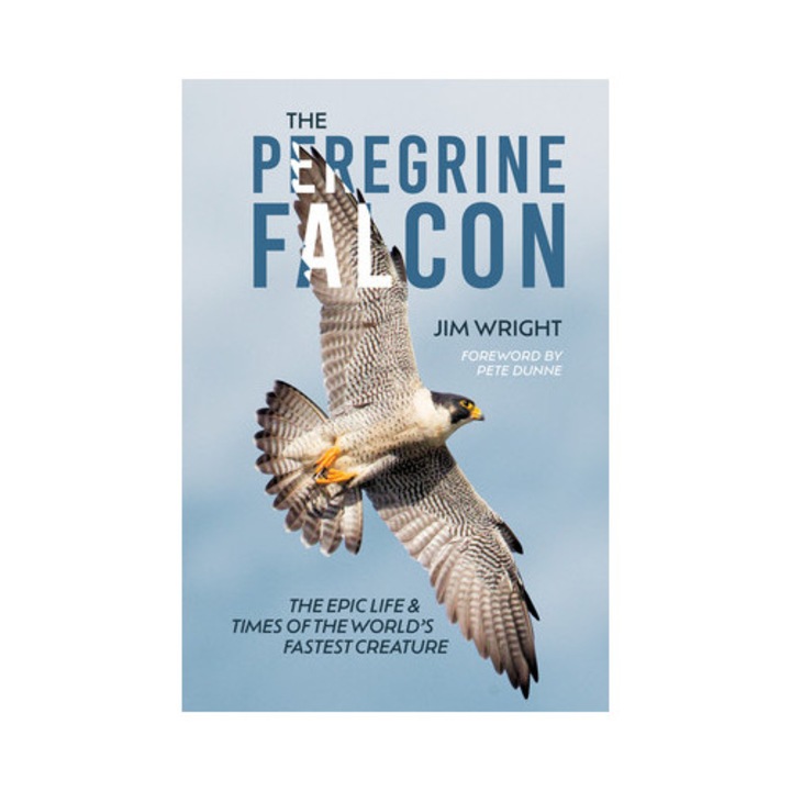 The Peregrine Falcon: The Epic Life And Times Of The World's Fastest Creature - Jim Wright