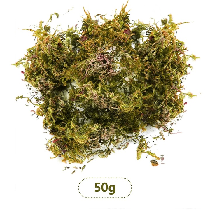 Mesterséges moha növényekhez, YANYXR, zöld, 50g