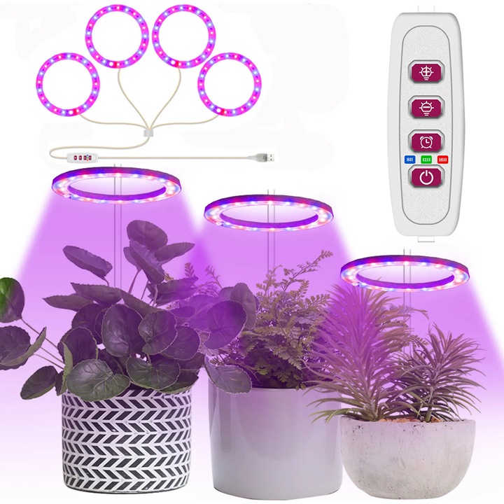 LED lámpa növényekhez, 4 gyűrű, piros-kék, 28.5x26cm, 5W