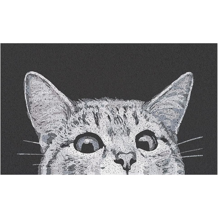Bejárati szőnyeg 18x30cm, szennyeződéselnyelő, természetes gumi, strapabíró, csúszásmentes